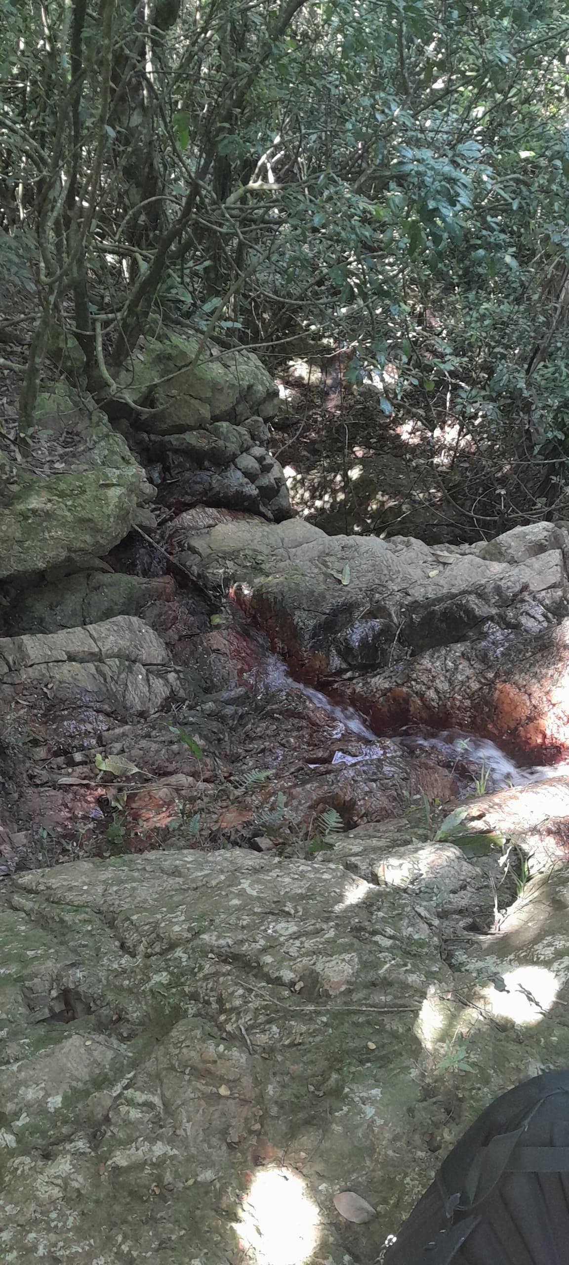 Cours d'eau marqué par une contamination minérale en Haïti
